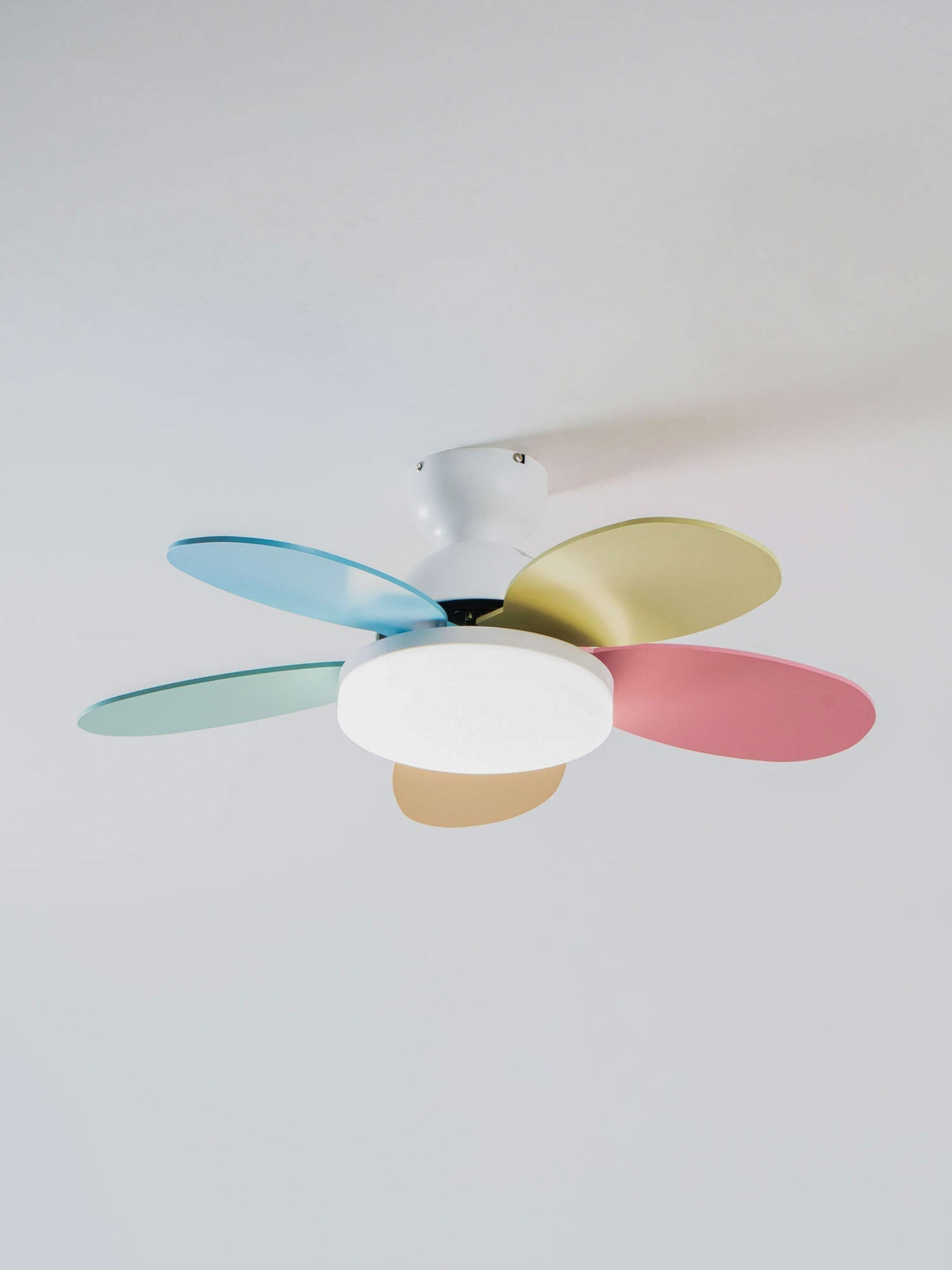 Petalo Ceiling Fan Light 25027481