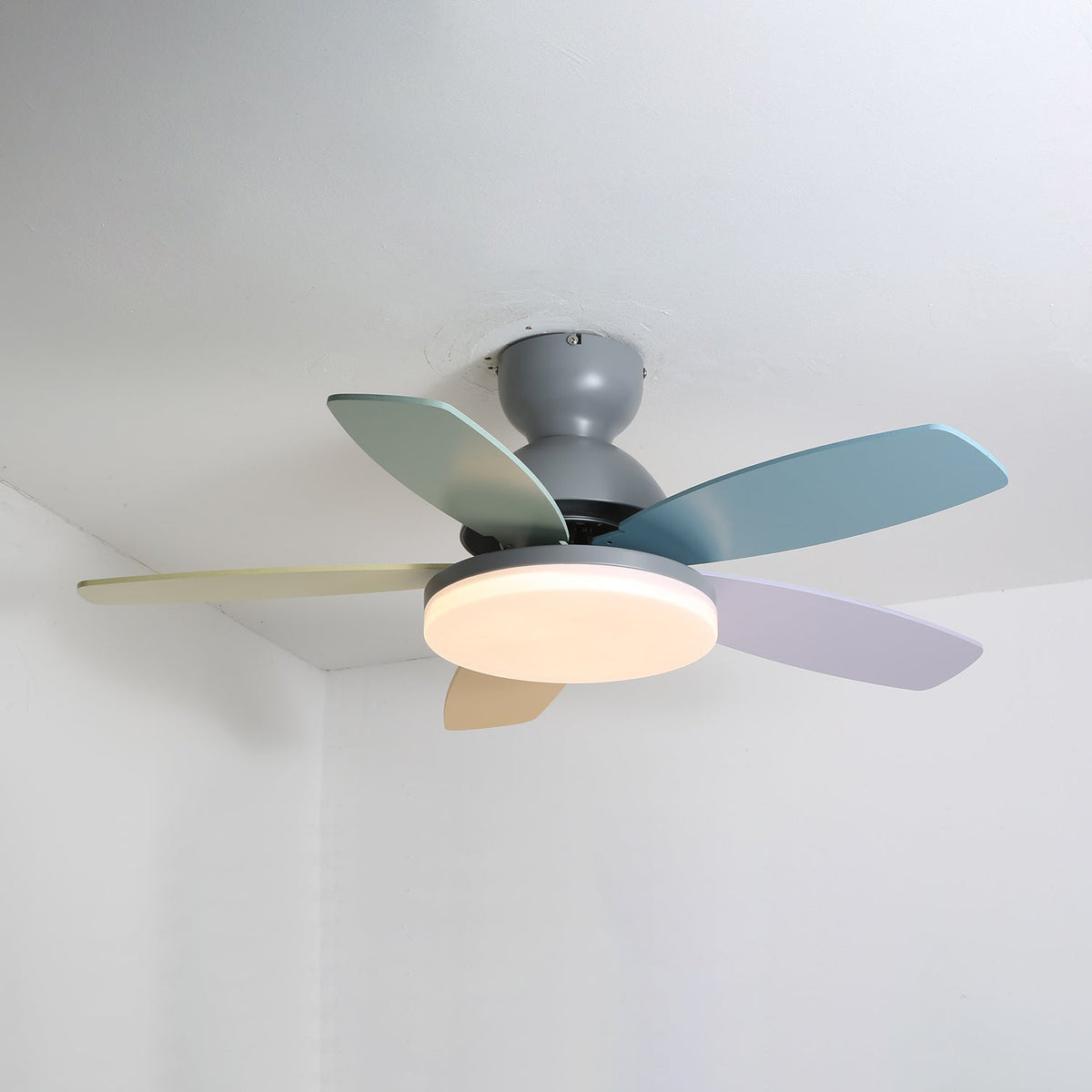 Petalo Ceiling Fan Light 25027481