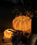 Portable Pumpkin Built In Battery Table Lamp