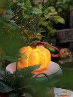 Portable Pumpkin Built In Battery Table Lamp
