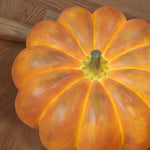 Portable Pumpkin Built In Battery Table Lamp