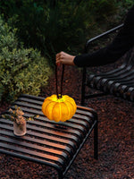 Portable Pumpkin Built In Battery Table Lamp