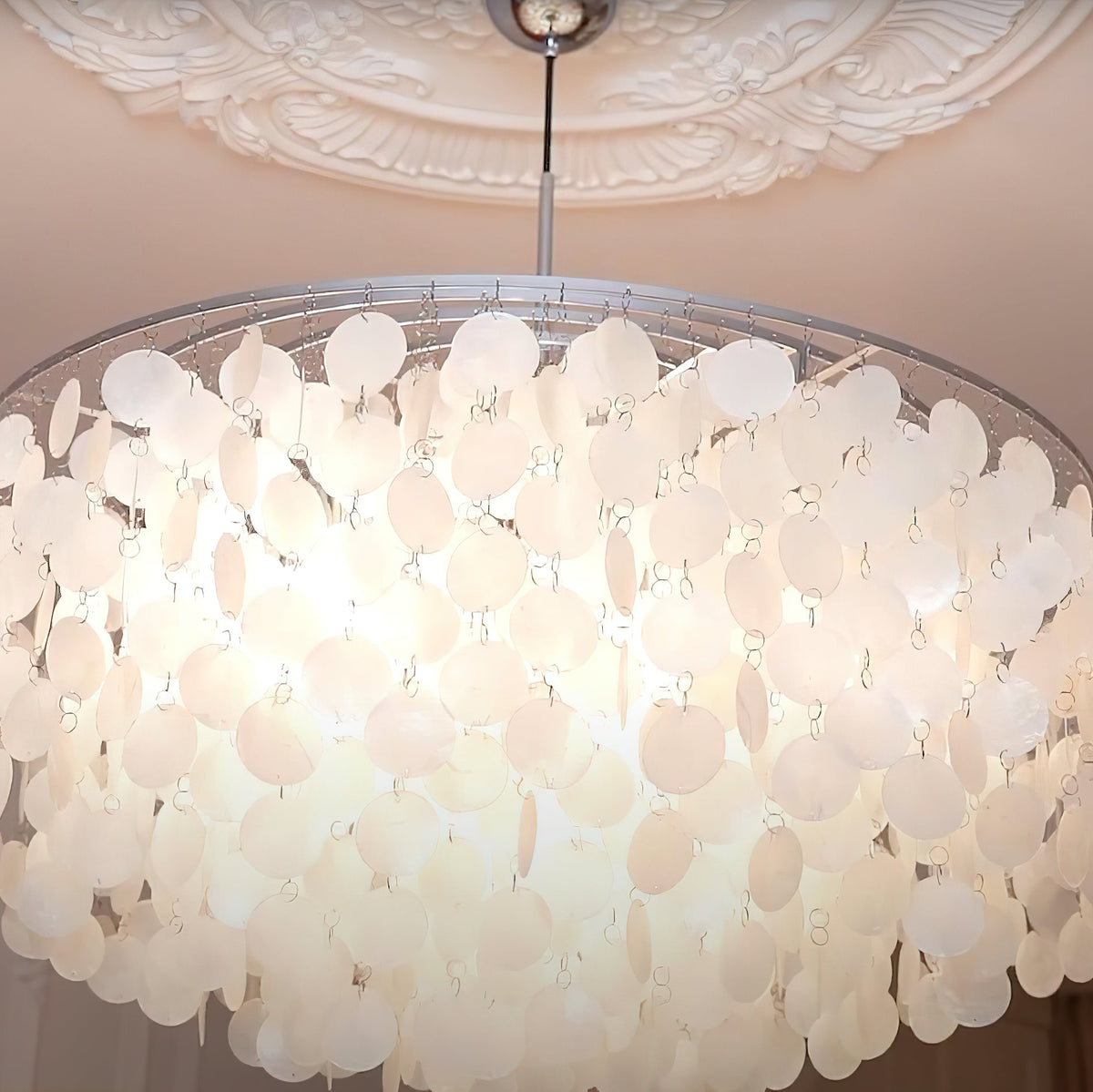 Shell Pendant Lamp