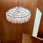 Shell Pendant Lamp