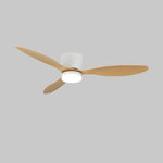 Aerodynamics Wooden Ceiling Fan Light 25027483
