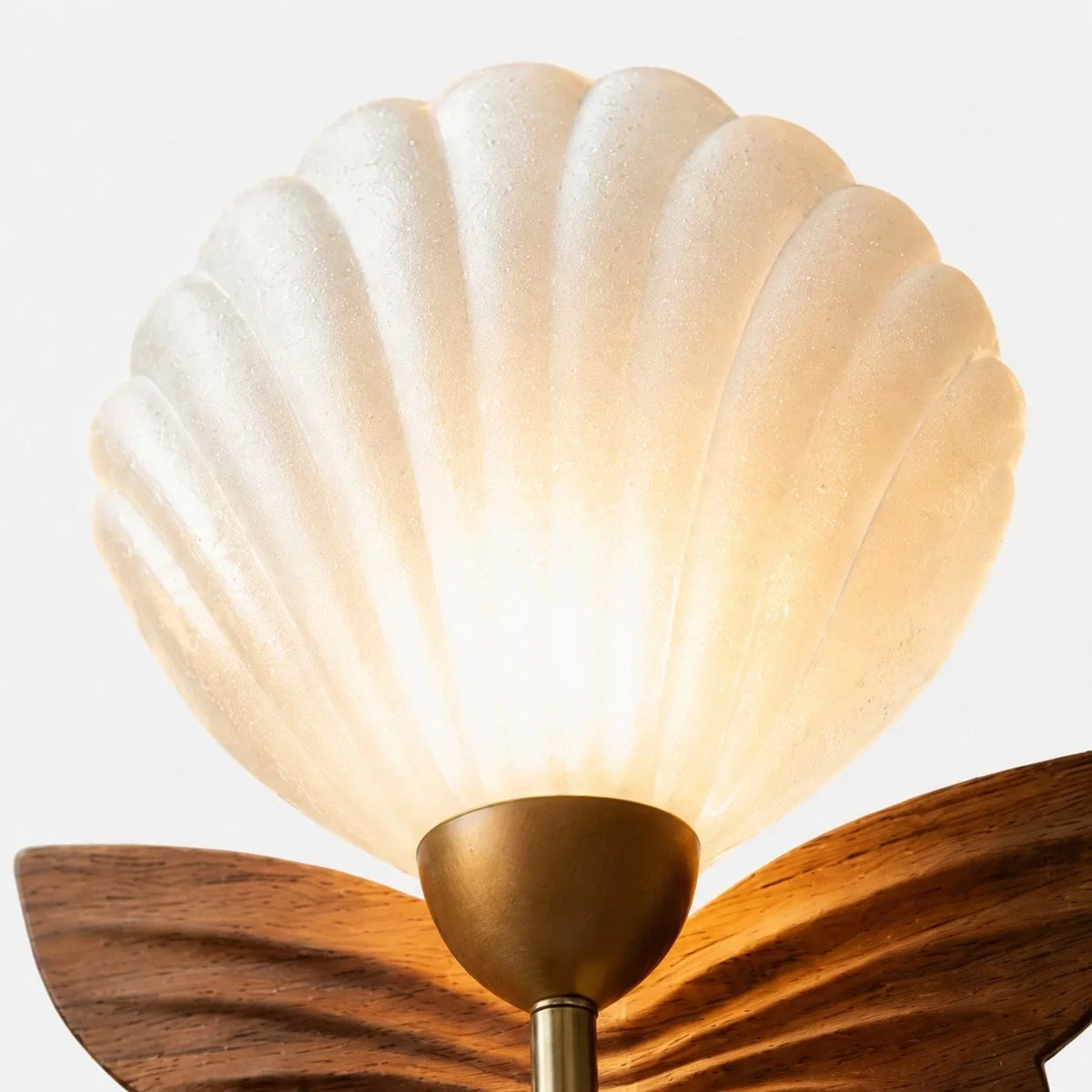 tiora-vintage-shell-butterfly-wall-light