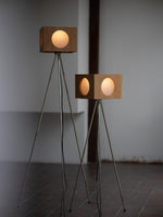 Vintage Tripod Camera Floor Lamp
