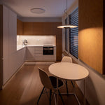 Ginger Wilbur Hanging Lamp
