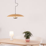 Ginger Wilbur Hanging Lamp