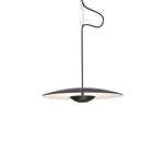 Ginger Wilbur Hanging Lamp