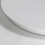 Lighting Ceiling Lights Flush Mount Lighting_Tli00281