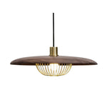 Kasa Hanging Ceiling Light