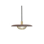 Kasa Hanging Ceiling Light