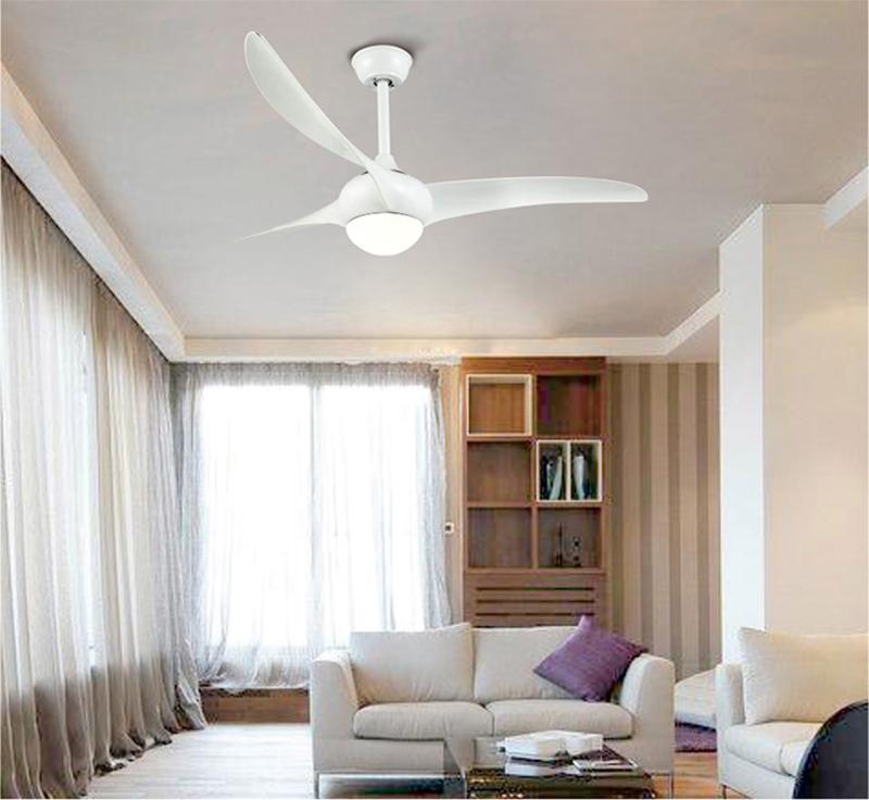 Ceiling Light with Integrated Indo