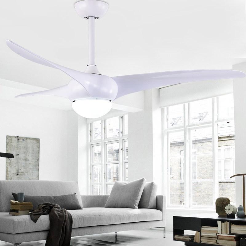 Ceiling Light with Integrated Indo
