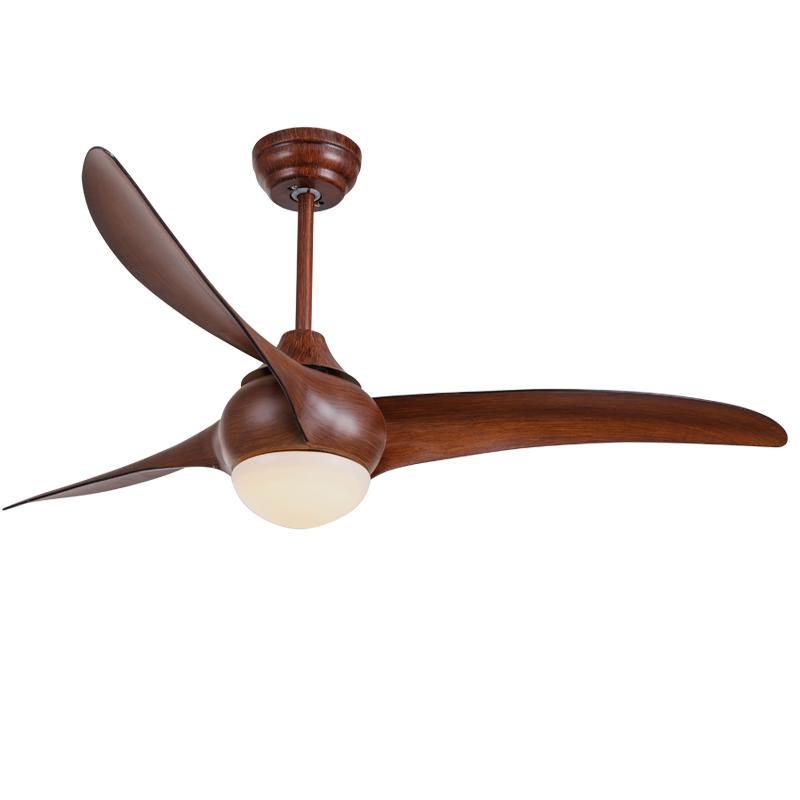 Ceiling Light with Integrated Indo