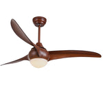 Ceiling Light with Integrated Indo