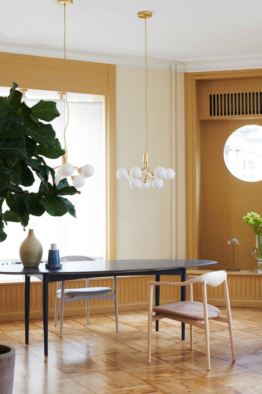 Apiales Hanging Light Fixture