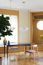 Apiales Hanging Light Fixture
