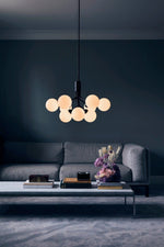 Apiales Hanging Light Fixture