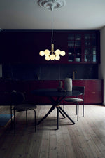 Apiales Hanging Light Fixture