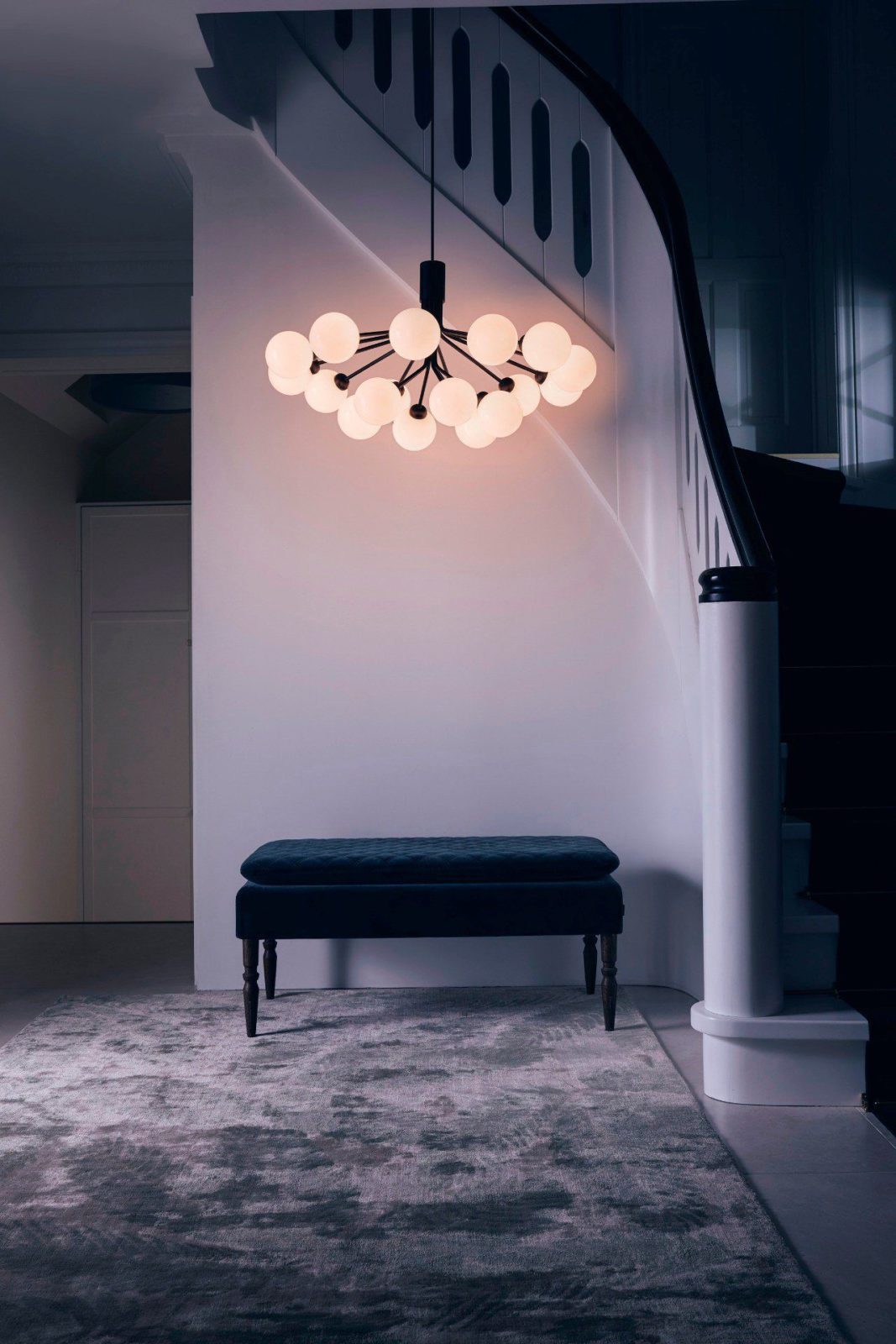 Apiales Hanging Light Fixture