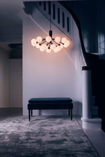 Apiales Hanging Light Fixture