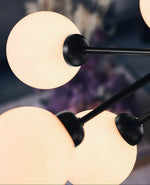 Apiales Hanging Light Fixture