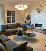 Apiales Hanging Light Fixture