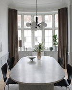 Apiales Hanging Light Fixture
