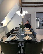 Apiales Hanging Light Fixture