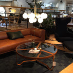 Apiales Hanging Light Fixture