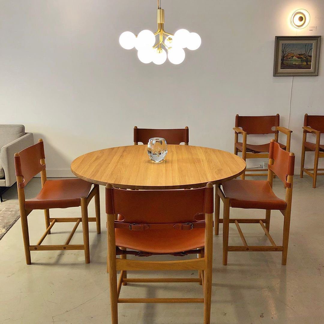 Apiales Hanging Light Fixture