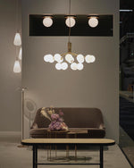Apiales Hanging Light Fixture