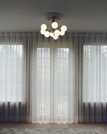 Apiales Hanging Light Fixture