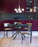 Apiales Hanging Light Fixture