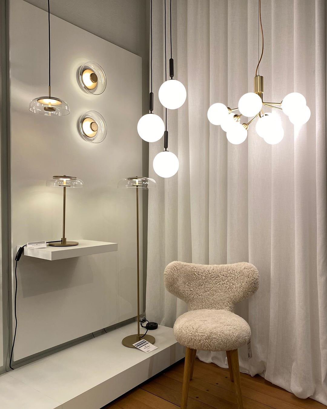Apiales Hanging Light Fixture
