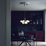 Apiales Hanging Light Fixture