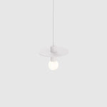 Avida Hanging Light Fixture
