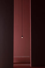 Avida Hanging Light Fixture