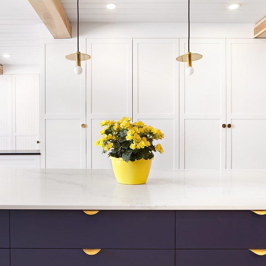 Avida Hanging Light Fixture