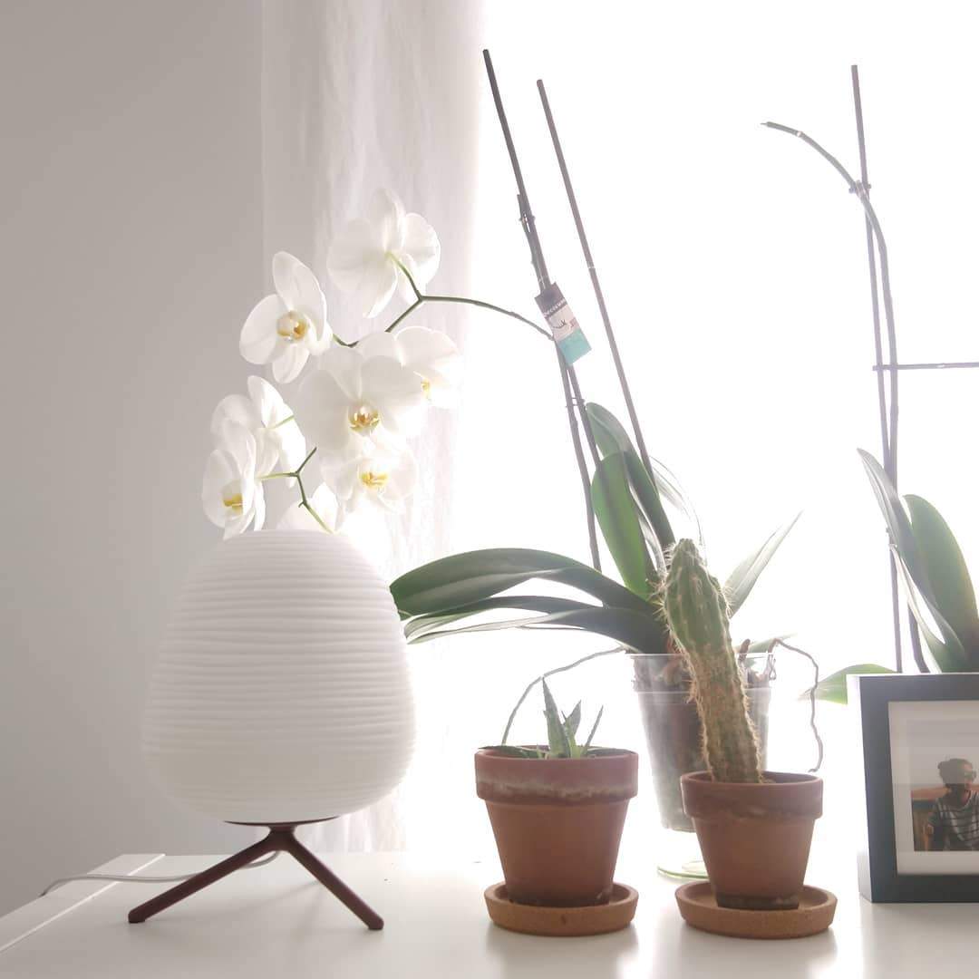 Rituals Desk Light