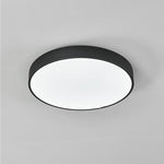 Lighting Ceiling Lights Flush Mount Lighting_3Xte8