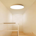Lighting Ceiling Lights Flush Mount Lighting_Tli00281