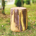 Simulation Tree Stump Waterproof Outdoor Garden Led Landscape Decorative Lighting 1