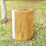 Simulation Tree Stump Waterproof Outdoor Garden Led Landscape Decorative Lighting 1