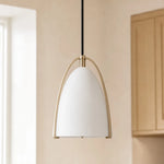 circe-modern-metal-steel-dome-pendant-light