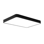 Lighting Ceiling Lights Flush Mount Lighting_4Whjb